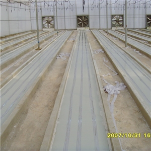 昆明大型花場(chǎng)自控溫電熱帶育苗項(xiàng)目